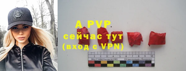 ешки Белокуриха