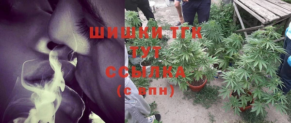 ешки Белокуриха
