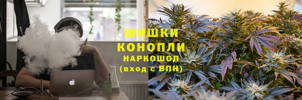 ешки Белокуриха